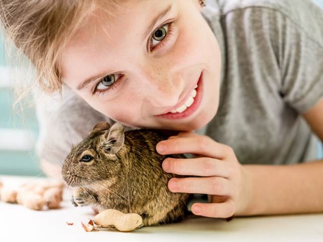 Při výběru mazlíčka nezapomínejte zohlednit i věk svých dětí